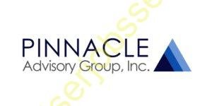 Pinnacle Support Services