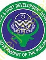Livestock Department Punjab