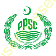 Punjab Public Service